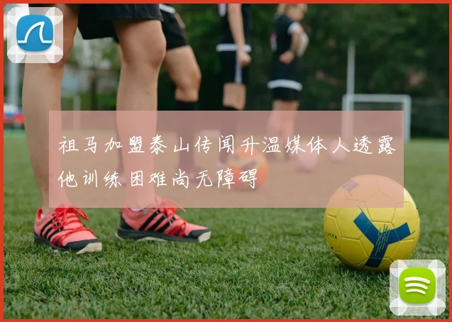 祖马加盟泰山传闻升温媒体人透露他训练困难尚无障碍